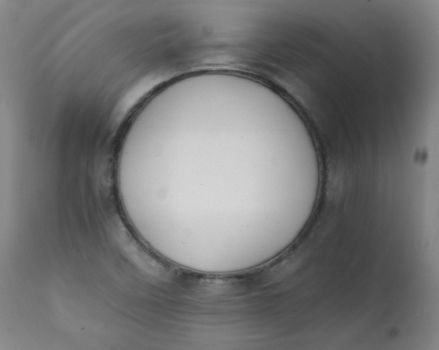 X0000111431458200907271054