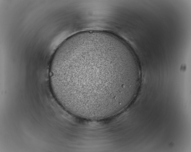 X0000111431459200907271054