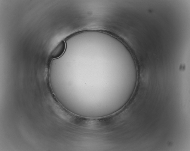 X0000111431461200907271054