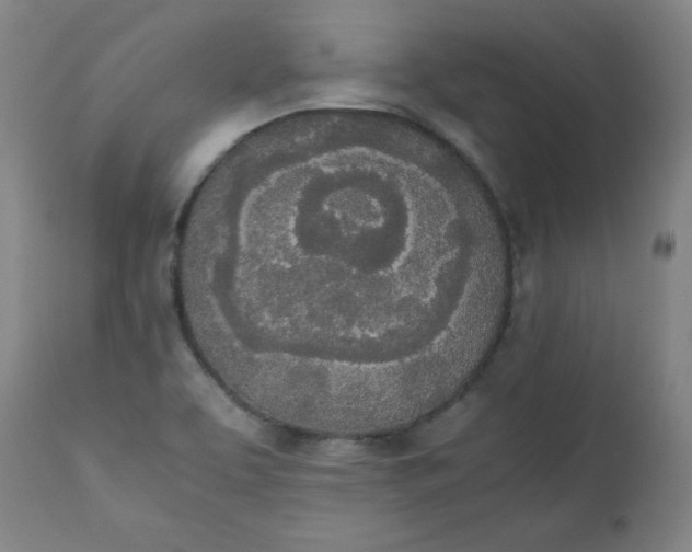 X0000111431463200907271054