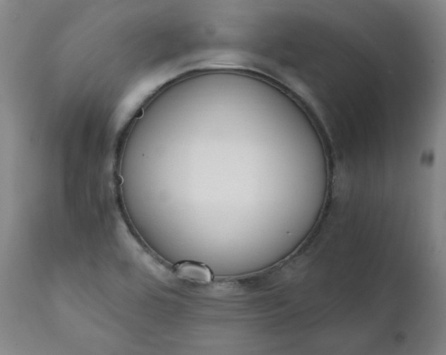 X0000111431464200907271054