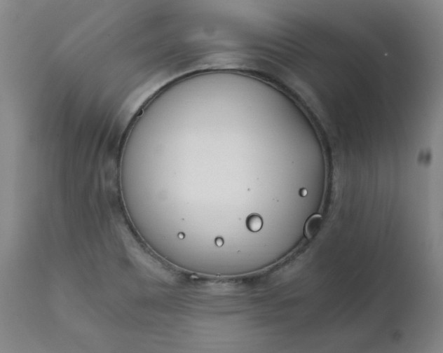 X0000111431465200907271054