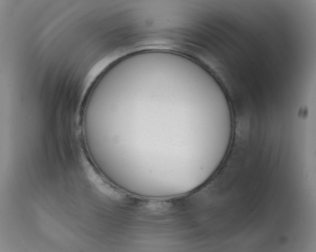 X0000111431466200907271054