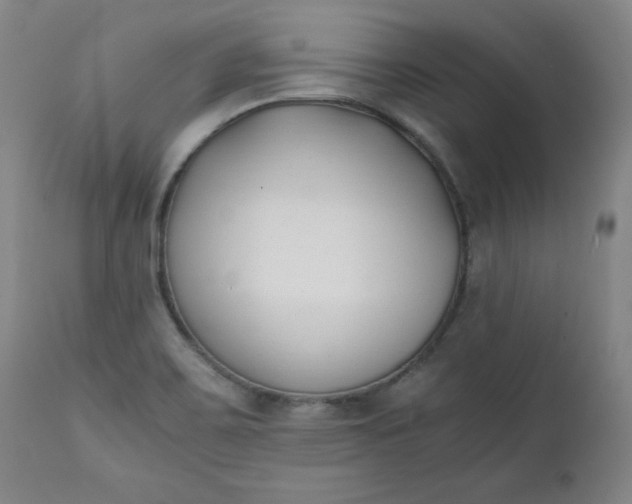 X0000111431467200907271054