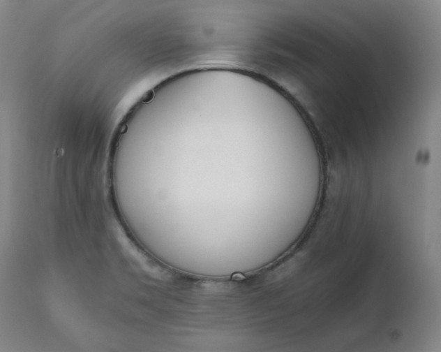 X0000111431469200907271054