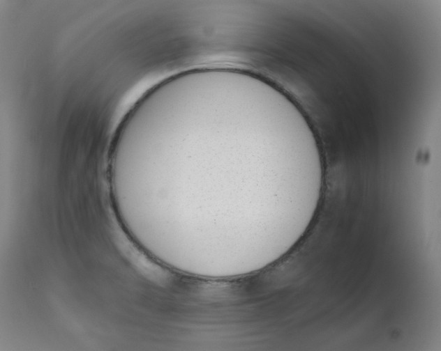 X0000111431470200907271054