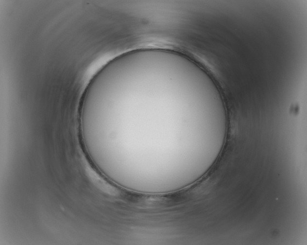 X0000111431471200907271053