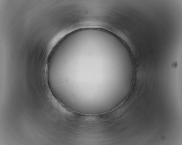 X0000111431472200907271053