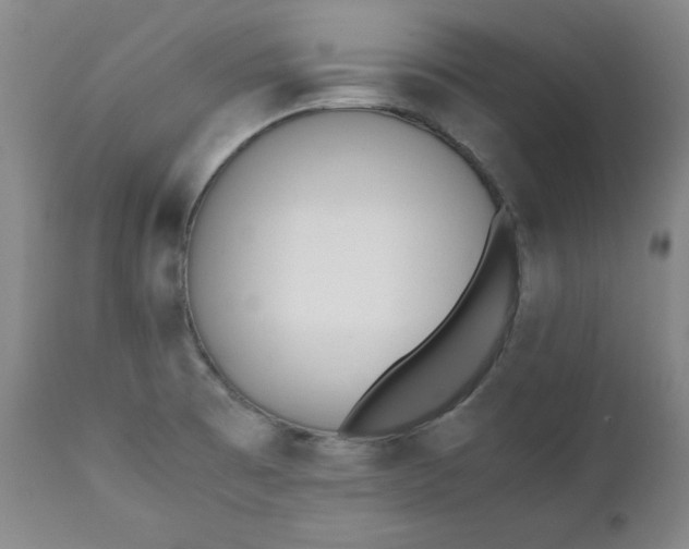 X0000111431473200907271053