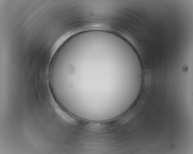 X0000111431474200907271053