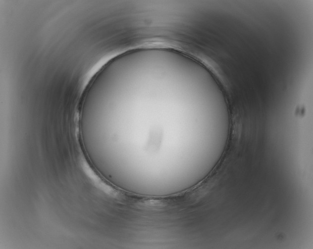 X0000111431476200907271053