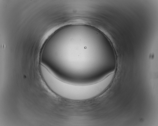 X0000111431477200907271053