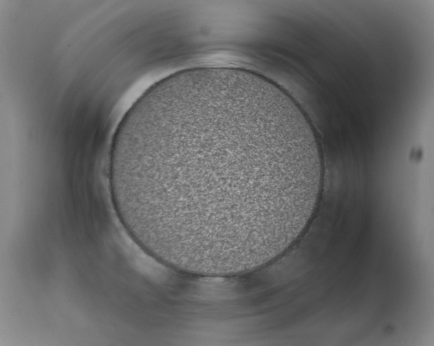 X0000111431478200907271053