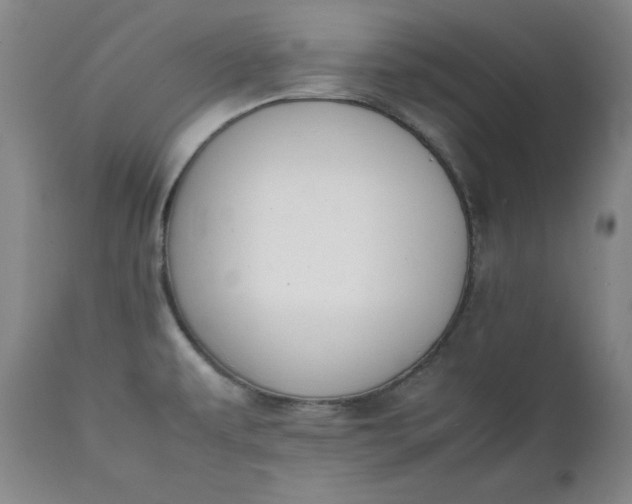 X0000111431479200907271053