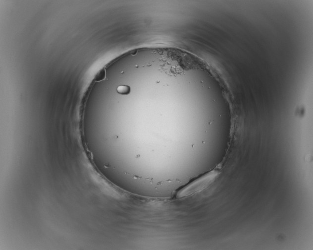 X0000111431480200907271053