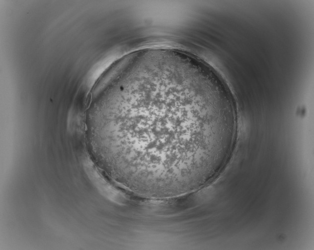 X0000111431481200907271053