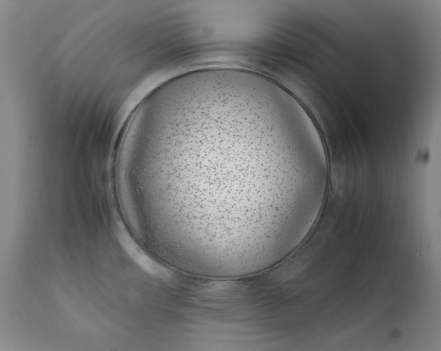 X0000111431482200907271053