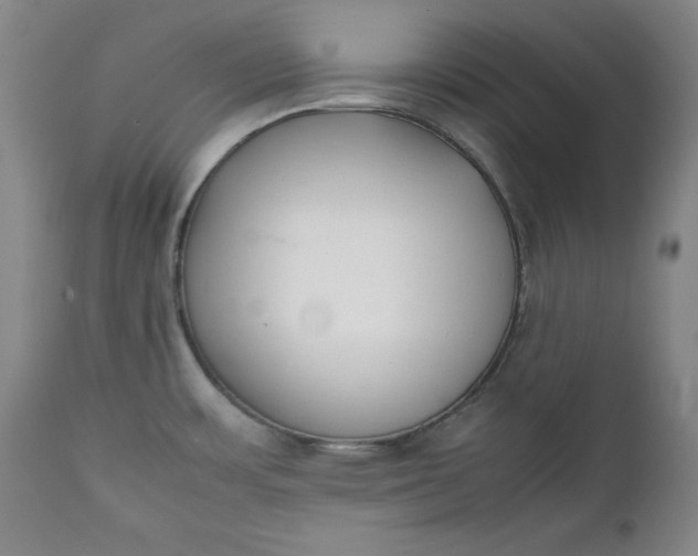 X0000111431483200907271053