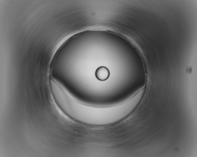 X0000111431484200907271053