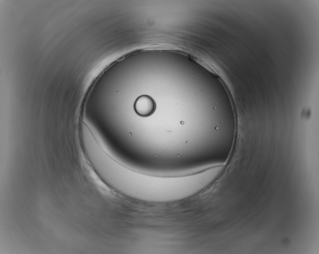 X0000111431485200907271053