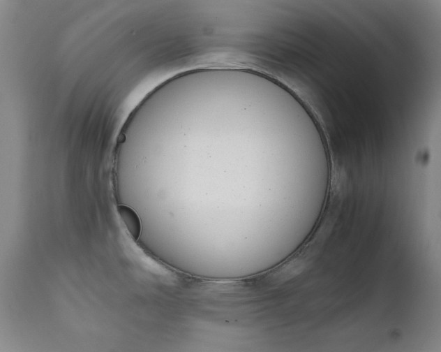 X0000111431486200907271053