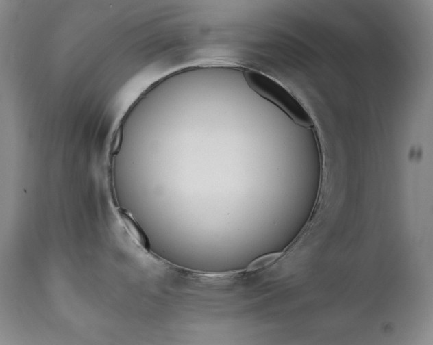 X0000111431488200907271053