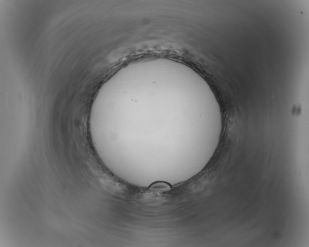 X0000111431489200907271052