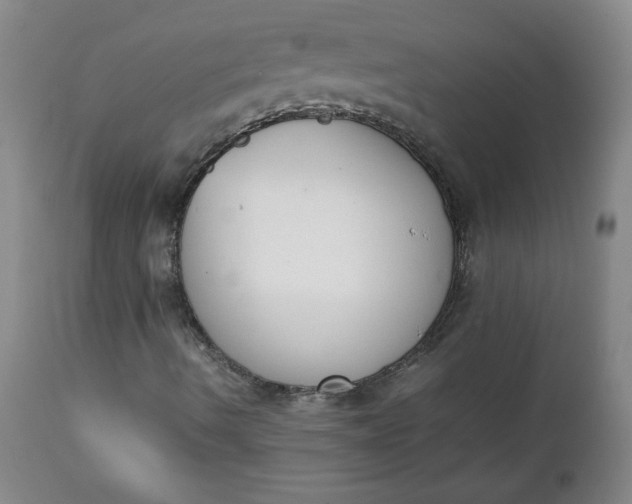 X0000111431490200907271052