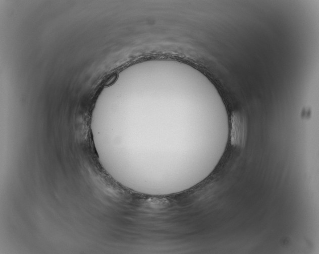 X0000111431491200907271052