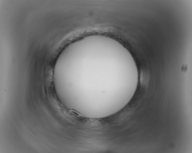 X0000111431492200907271052