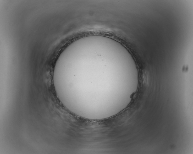 X0000111431493200907271052