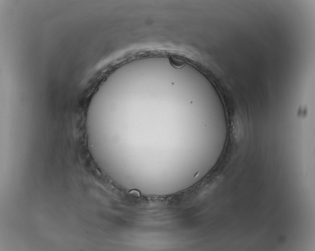 X0000111431494200907271052