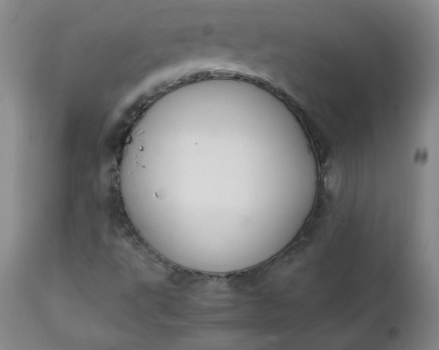 X0000111431495200907271052