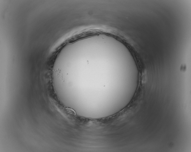 X0000111431496200907271052