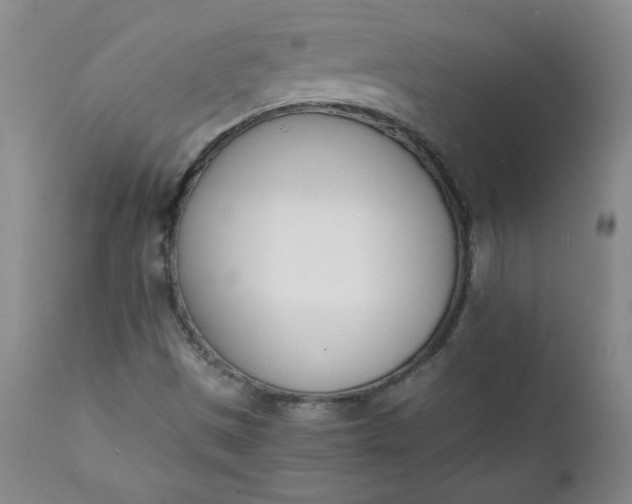 X0000111431497200907271052