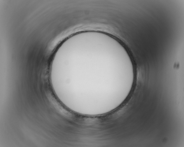 X0000111431498200907271052