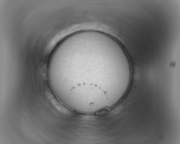 X0000111431499200907271052