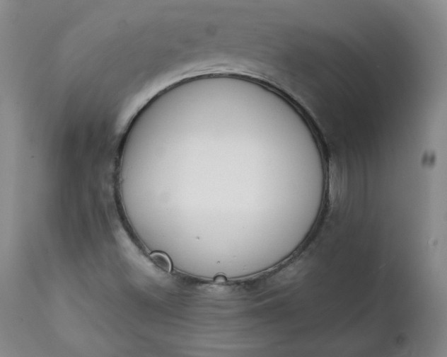 X0000111431500200907271052