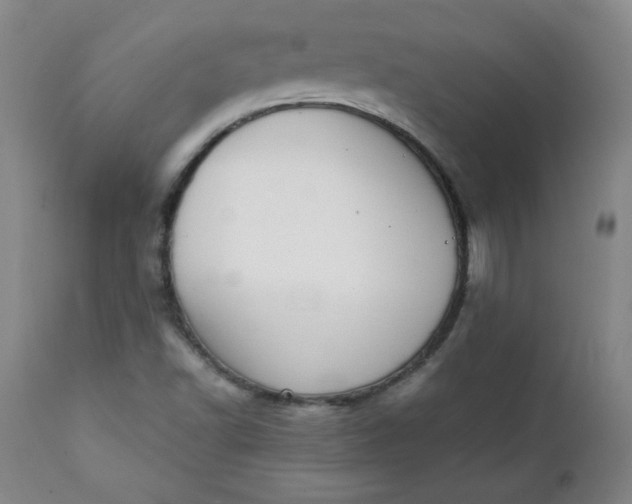 X0000111431502200907271052