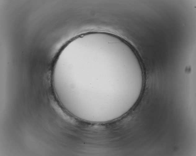 X0000111431503200907271052