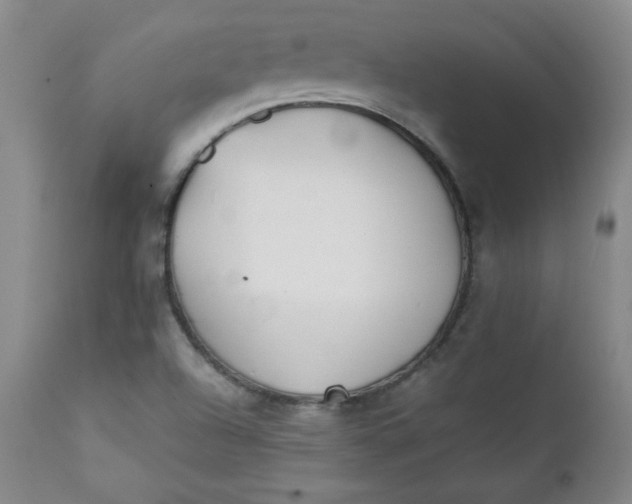 X0000111431504200907271052