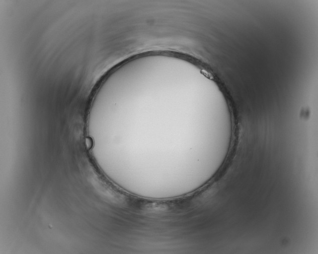 X0000111431505200907271052