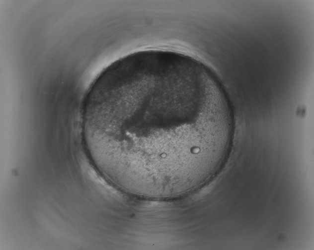 X0000111431506200907271053