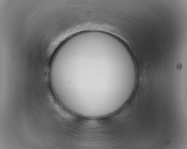 X0000111431507200907271053