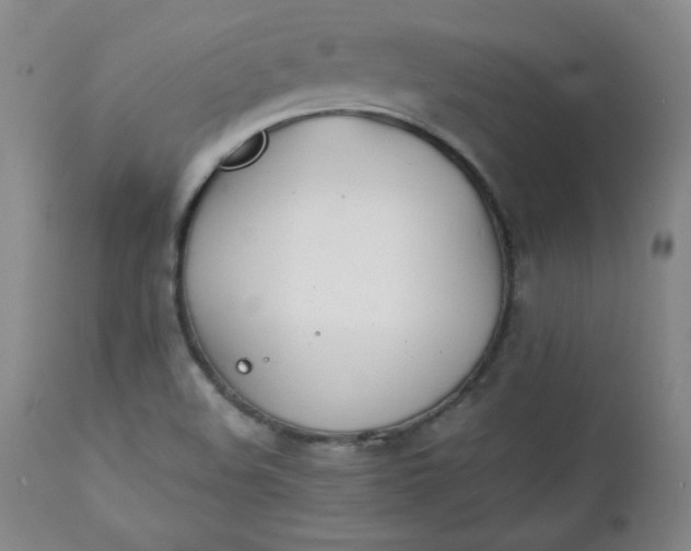 X0000111431508200907271053