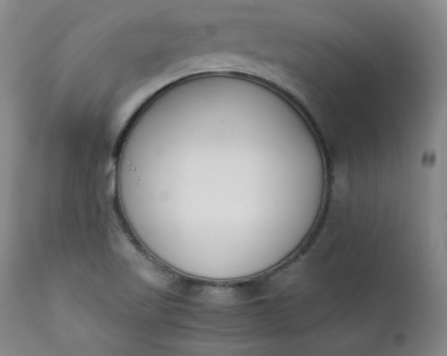 X0000111431509200907271053