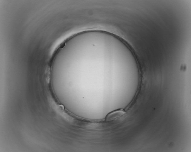 X0000111431510200907271053