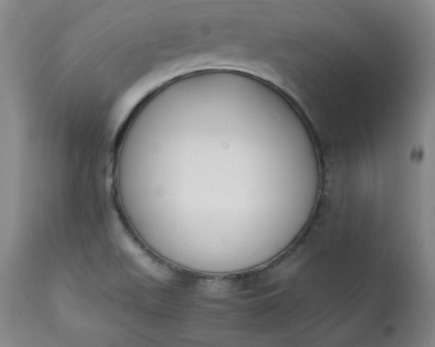 X0000111431511200907271053