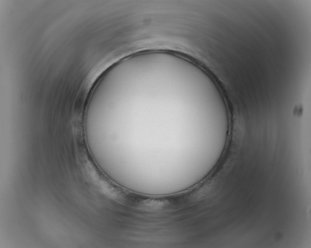 X0000111431513200907271053