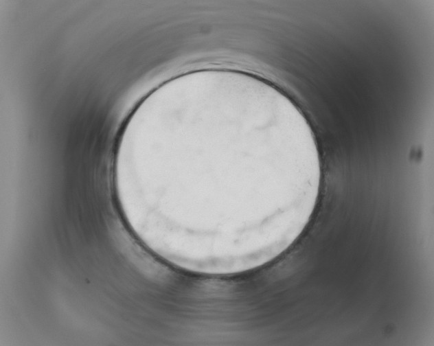 X0000111431514200907271053